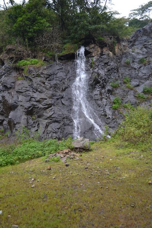Ferndale Homestay Thekkady Zewnętrze zdjęcie