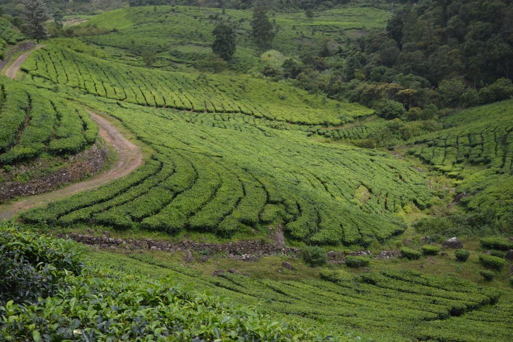 Ferndale Homestay Thekkady Zewnętrze zdjęcie