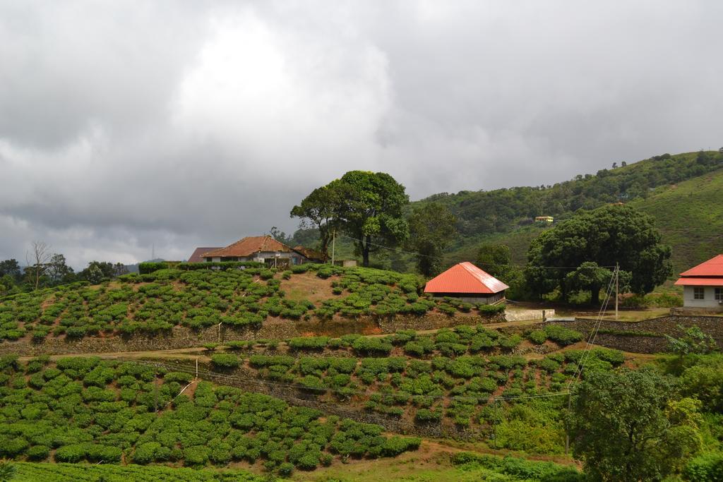 Ferndale Homestay Thekkady Zewnętrze zdjęcie