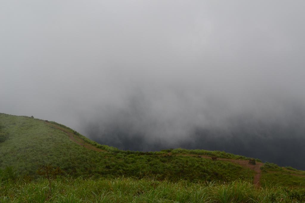 Ferndale Homestay Thekkady Zewnętrze zdjęcie