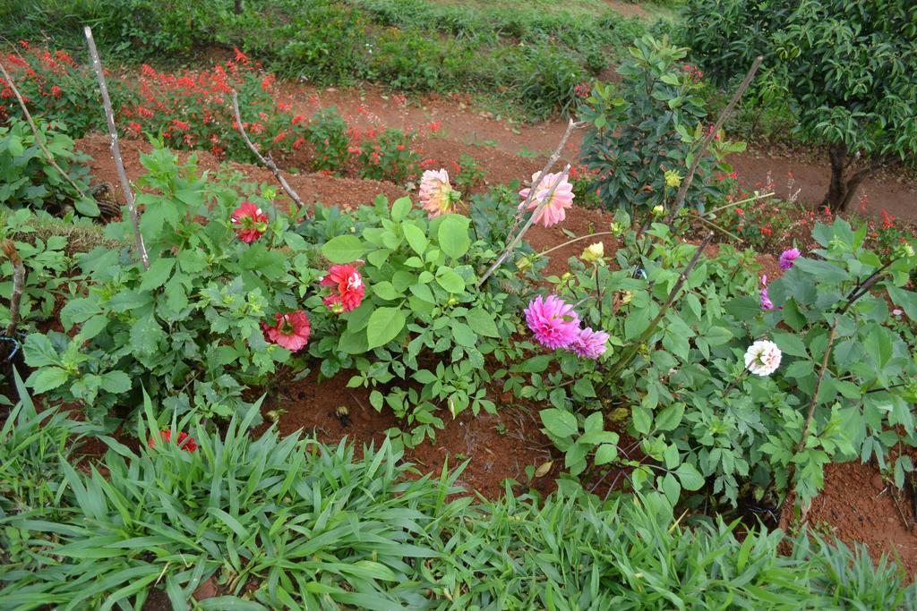 Ferndale Homestay Thekkady Zewnętrze zdjęcie