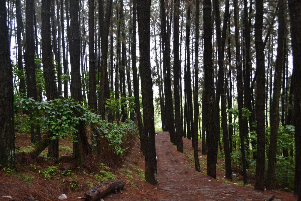 Ferndale Homestay Thekkady Zewnętrze zdjęcie