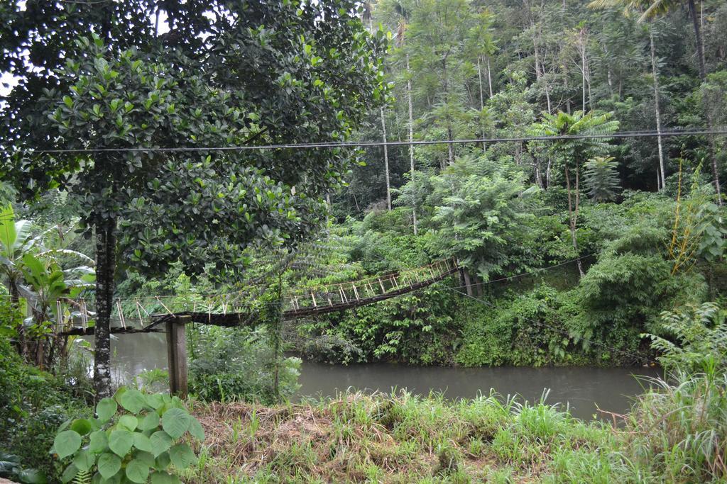 Ferndale Homestay Thekkady Zewnętrze zdjęcie