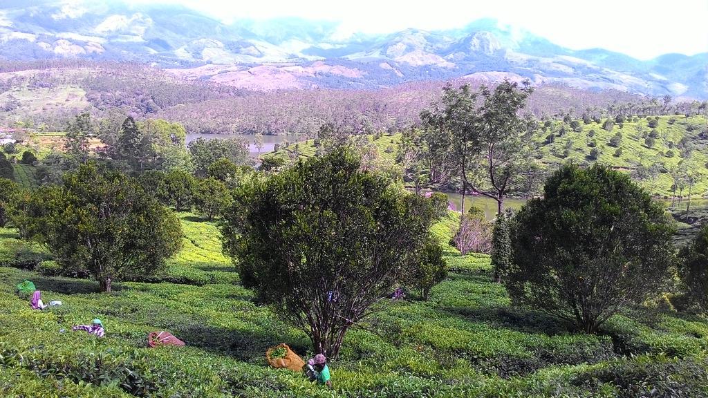 Ferndale Homestay Thekkady Zewnętrze zdjęcie