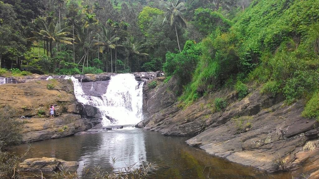 Ferndale Homestay Thekkady Zewnętrze zdjęcie