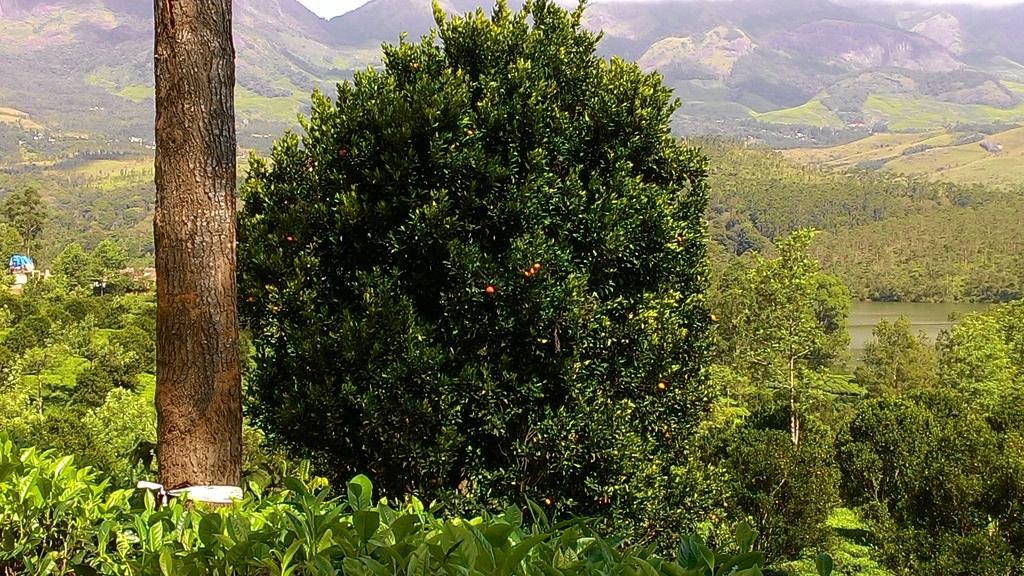 Ferndale Homestay Thekkady Zewnętrze zdjęcie