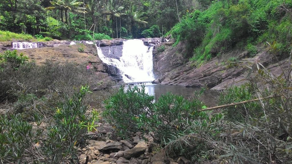 Ferndale Homestay Thekkady Zewnętrze zdjęcie