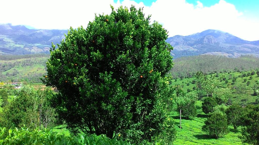 Ferndale Homestay Thekkady Zewnętrze zdjęcie