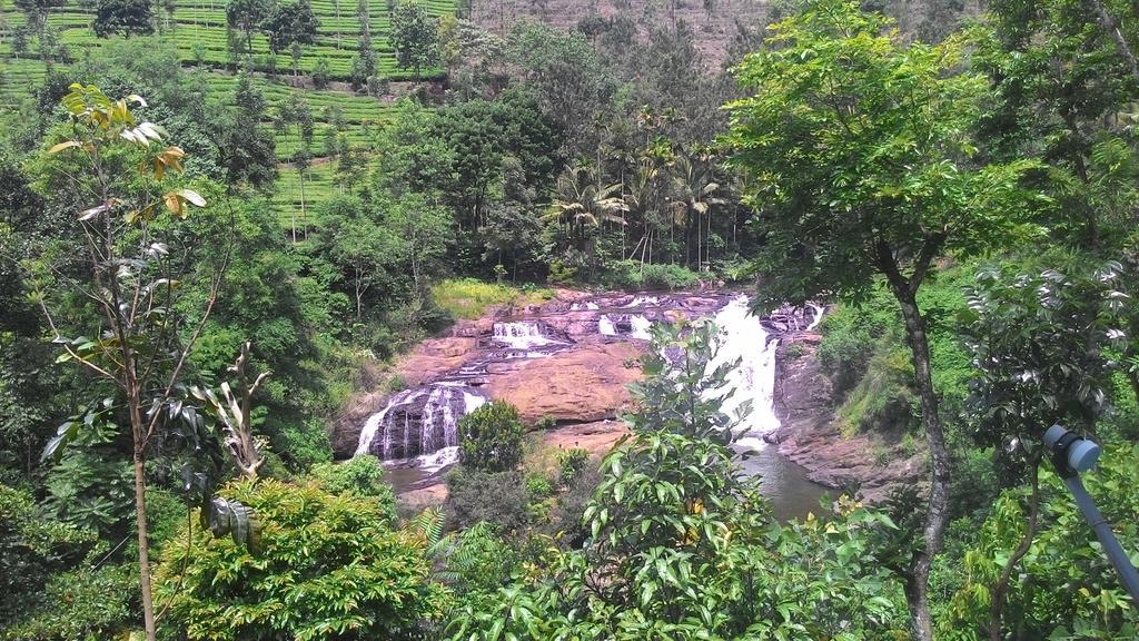 Ferndale Homestay Thekkady Zewnętrze zdjęcie